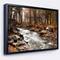 Designart - Stream in Autumn Forest - Landscape Photography Framed Canvas Art Print